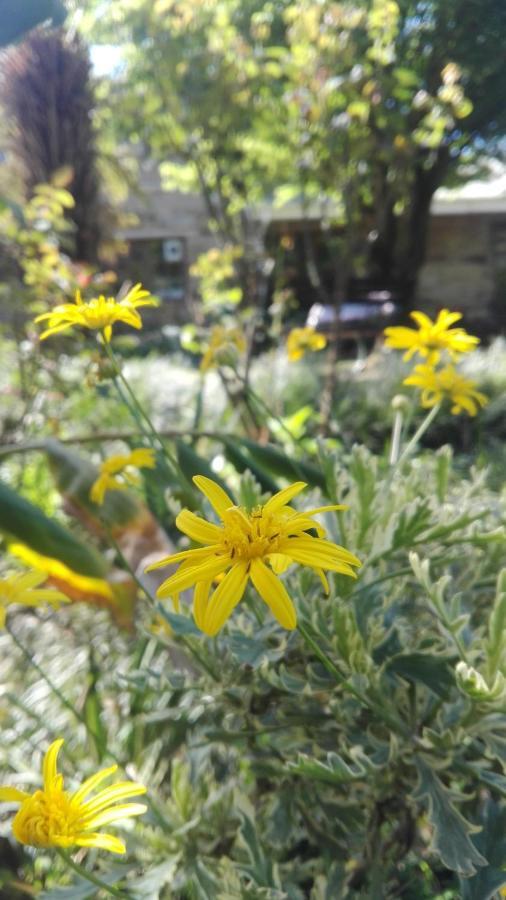 Country Lane Guesthouse 호윅 외부 사진