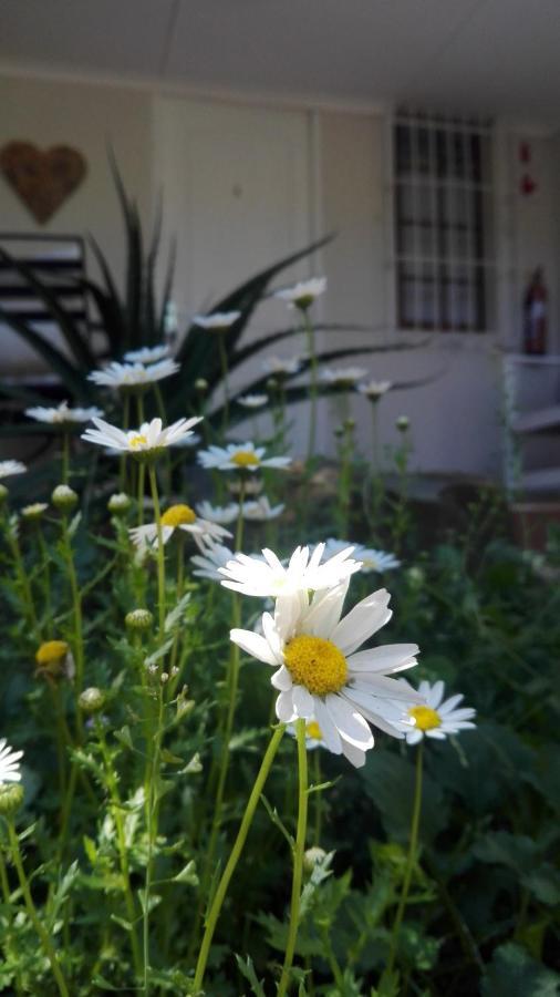 Country Lane Guesthouse 호윅 외부 사진